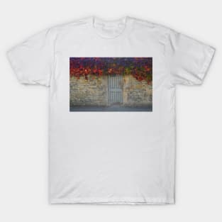 Merton College Wall. Oxford, UK T-Shirt